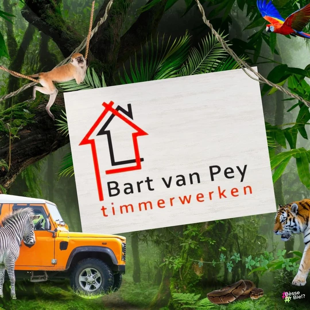 Bart van Pey timmerwerken