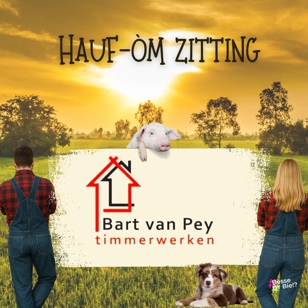 Bart van Pey timmerwerken